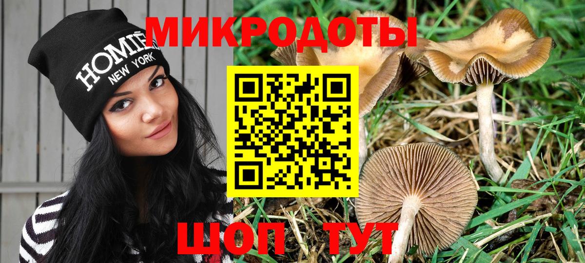 Златоуст  Псилоцибиновые грибы мухоморы  Вход с VPN 
