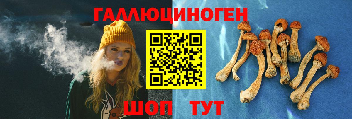 Псилоцибиновые грибы Psilocybe Златоуст